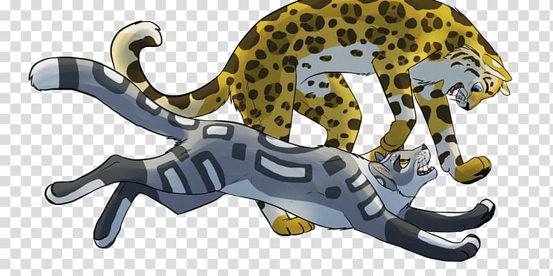 Leopard Big cat Terrestrial animal, never trip 2 times by a stone transparent background PNG clipart