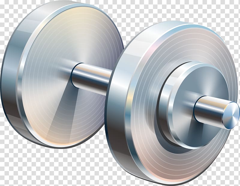 Dumbbell Euclidean Barbell Weight training Physical fitness, barbell transparent background PNG clipart