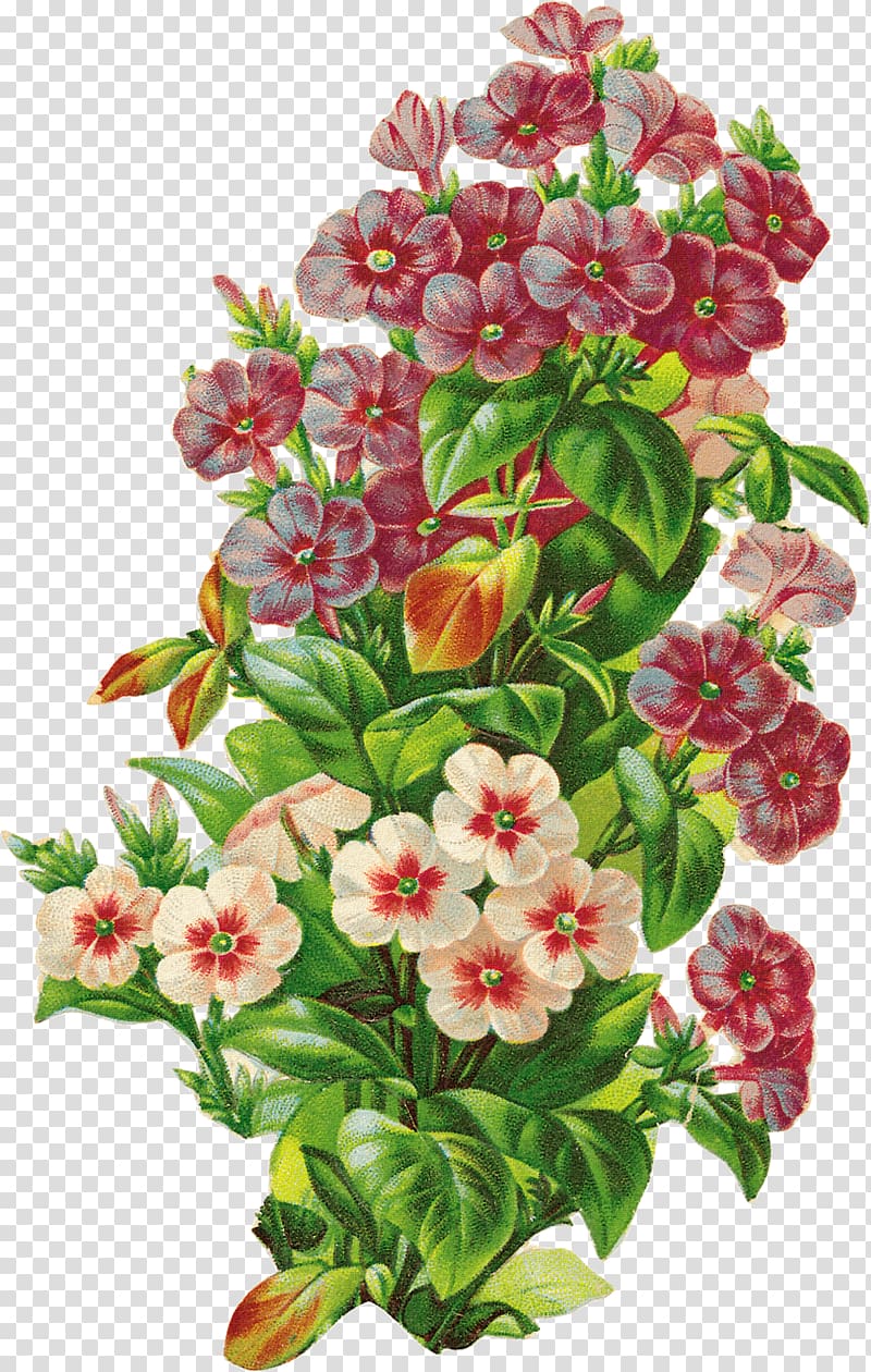 Floral design Retro style u68eeu30acu30fcu30eb Flower, Floral decorative pattern transparent background PNG clipart