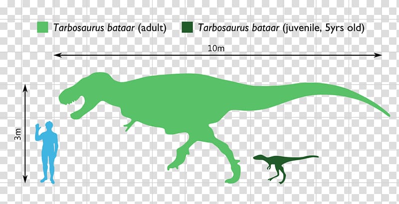 Tarbosaurus Daspletosaurus Albertosaurus Argentinosaurus Ceratosaurus, dinosaur transparent background PNG clipart
