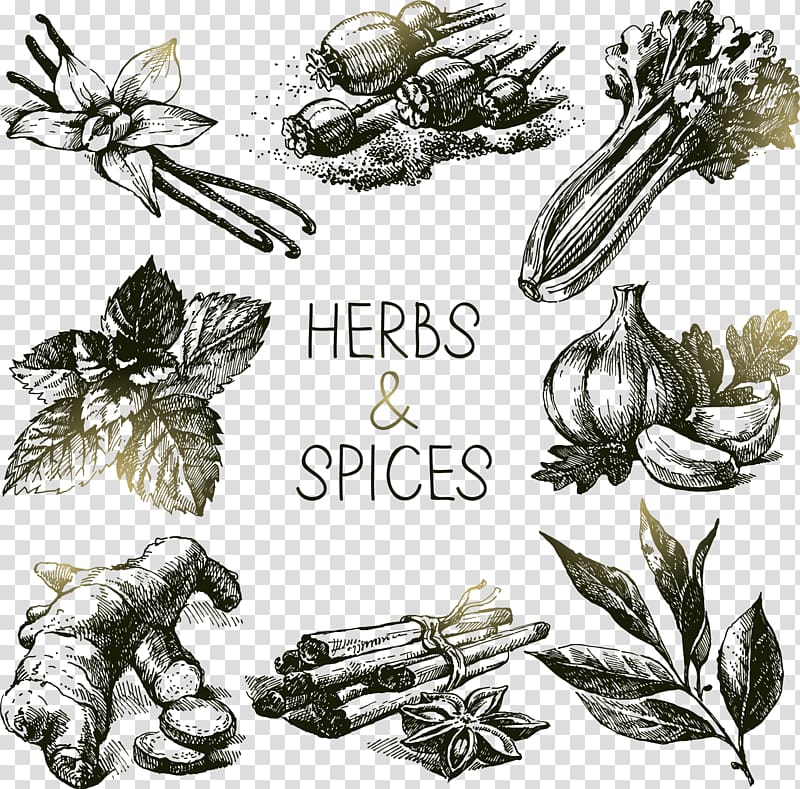 Herbs & Spices text overlay, Spice Herb Drawing , Floating a variety of herbs spices transparent background PNG clipart