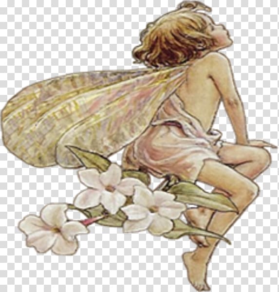Fairy Public domain Flower Fairies , Fairy transparent background PNG clipart