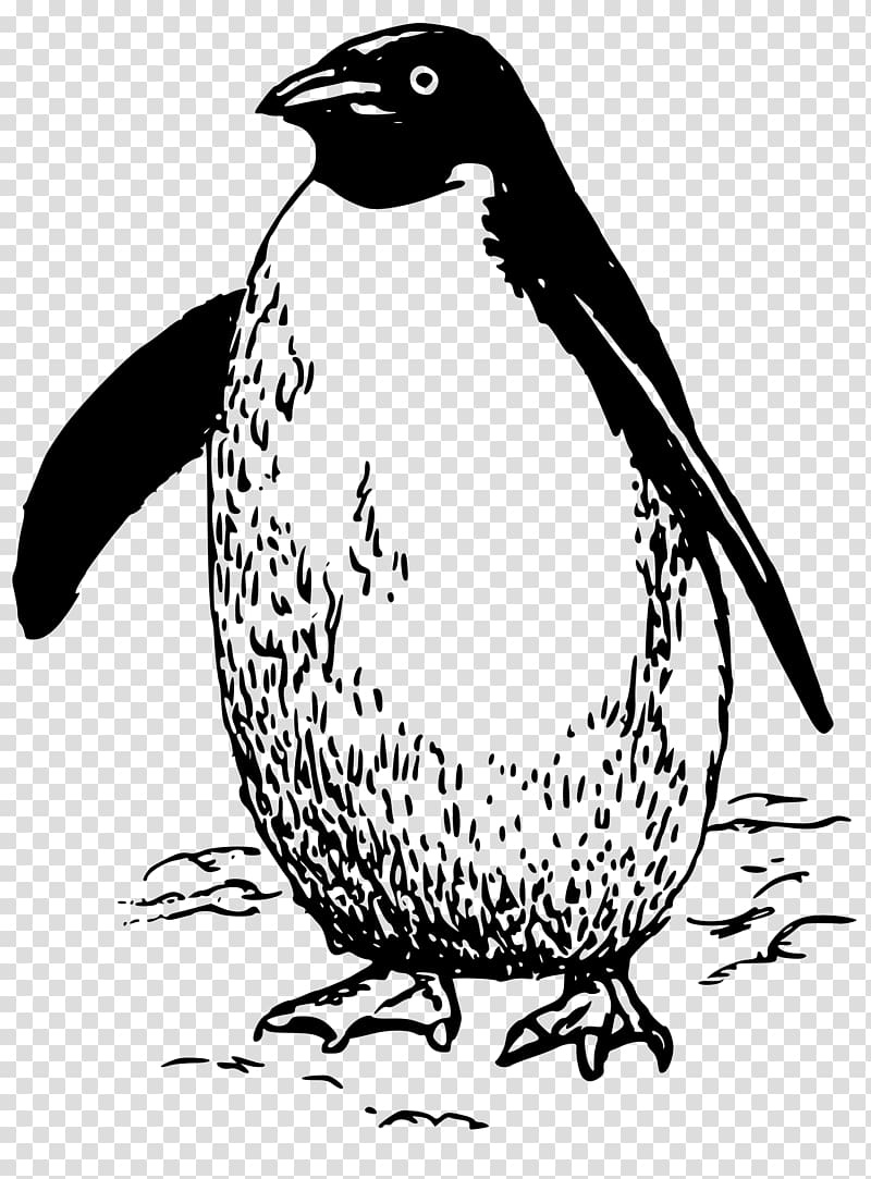Penguin Bird , madagascar penguins transparent background PNG clipart