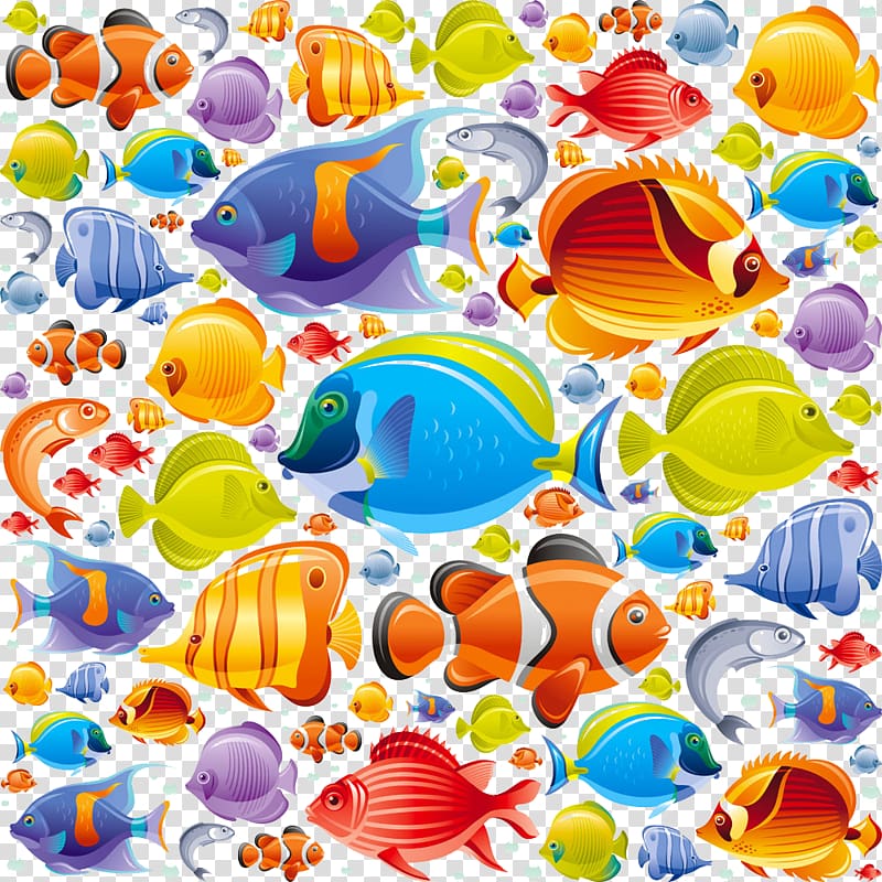 assorted fish , Tropical fish Icon, Fish Background transparent background PNG clipart