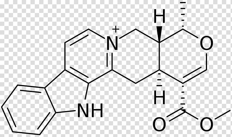 Isoprenaline Isoproterenol hydrochloride Agonist Adrenergic receptor, Serpentine transparent background PNG clipart