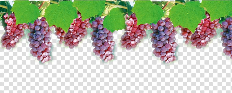 Grape juice Computer file, grape transparent background PNG clipart