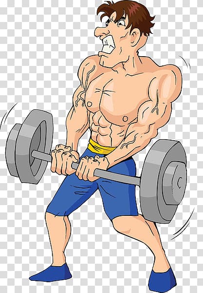 Weight training Olympic weightlifting Cartoon Illustration, A man who uses his strength to lift a barbell transparent background PNG clipart