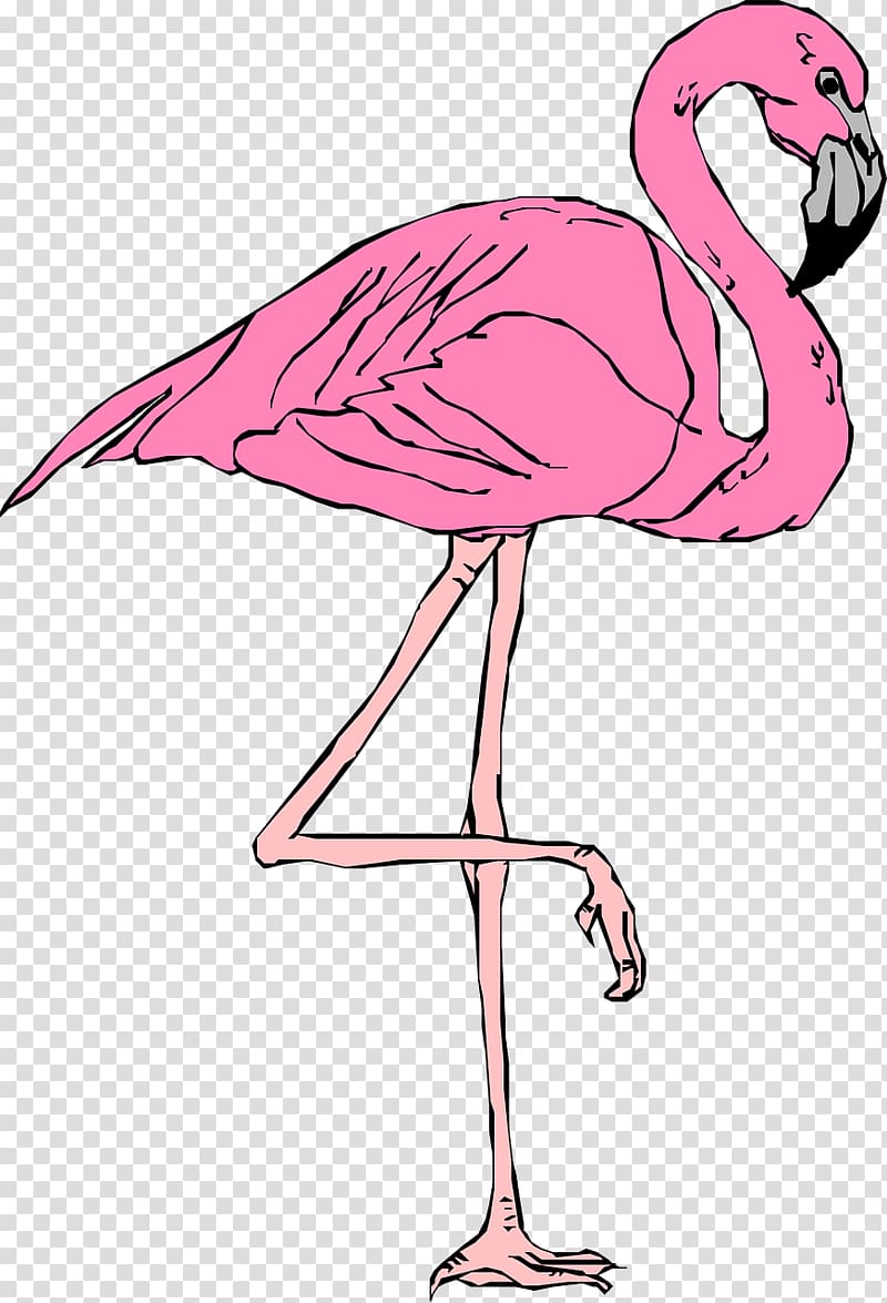 Flamingo Free content Website , Pink flamingos transparent background PNG clipart