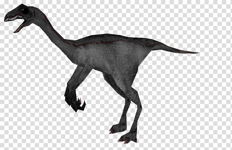 Velociraptor Carnivores 2 Australovenator Mod DB, others transparent background PNG clipart