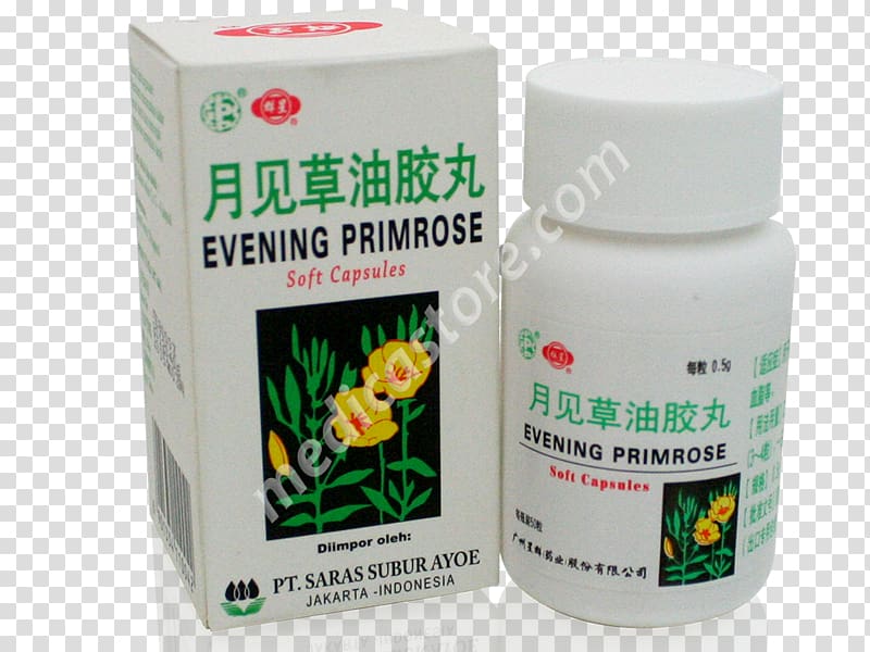 Common evening-primrose Product Herb Plants Evening-primroses, Udang transparent background PNG clipart