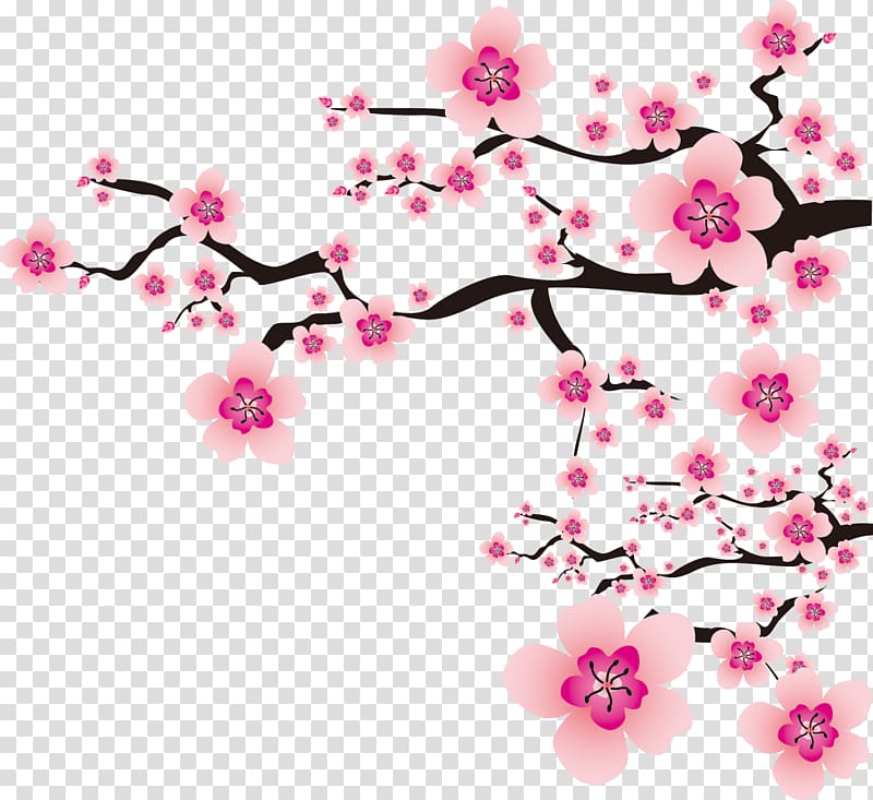 Plum blossom Flower , cherry blossom transparent background PNG clipart