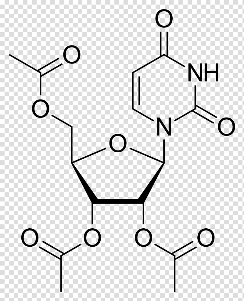 Thymidine Amine Deoxyuridine monophosphate Carboxylic acid, others transparent background PNG clipart