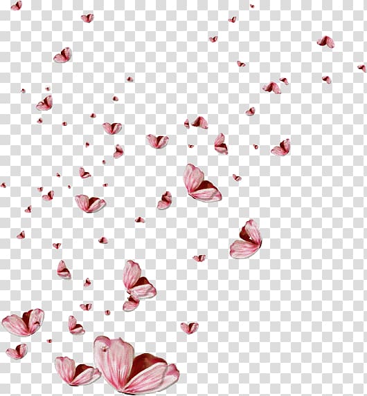 Petal Butterfly effect , butterfly transparent background PNG clipart