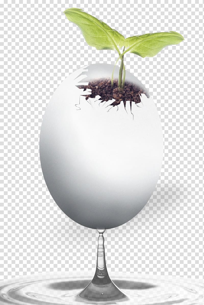 Gratis Google s, Egg Plant transparent background PNG clipart