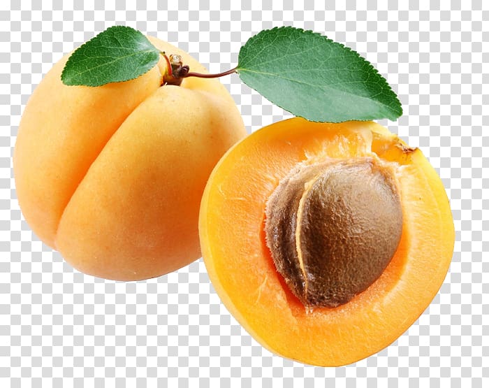 orange fruit plant, Juice Apricot kernel Fruit Food, Apricot transparent background PNG clipart