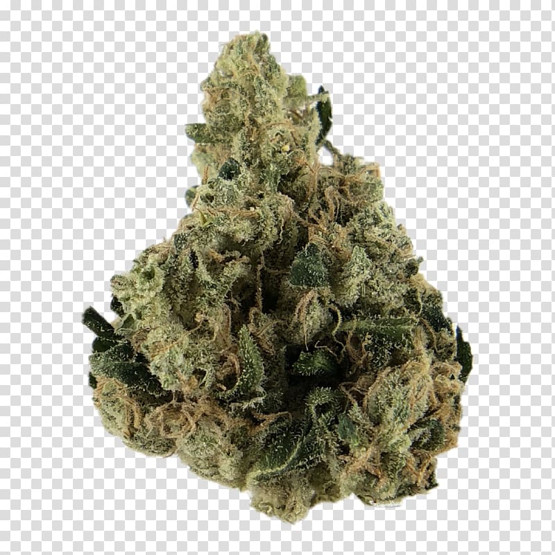 LB Velvet Mineral Powder 5g Cannabis Kush Oregon, diesel cannabis transparent background PNG clipart