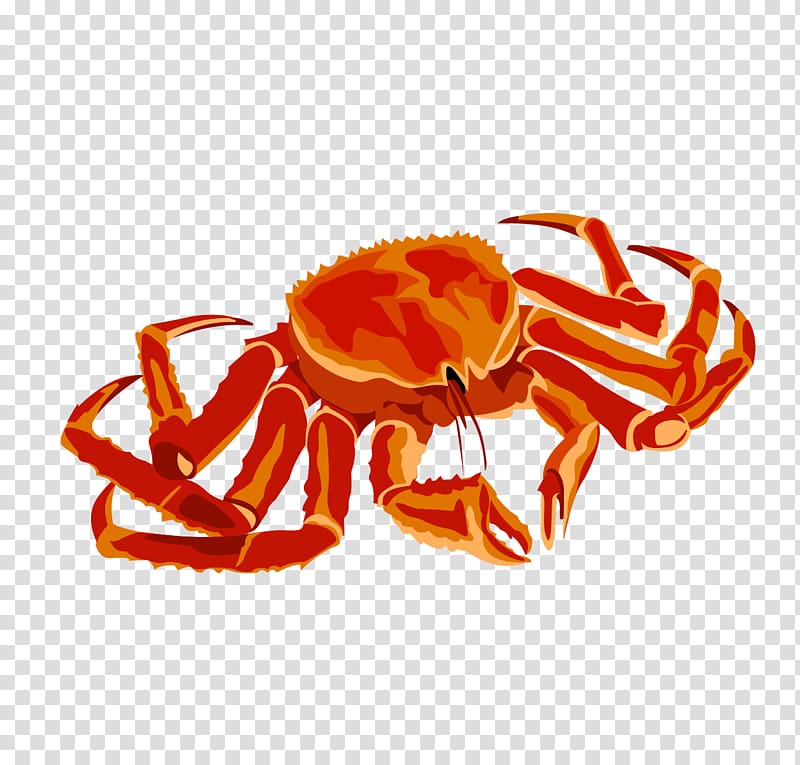 Red king crab , crab transparent background PNG clipart