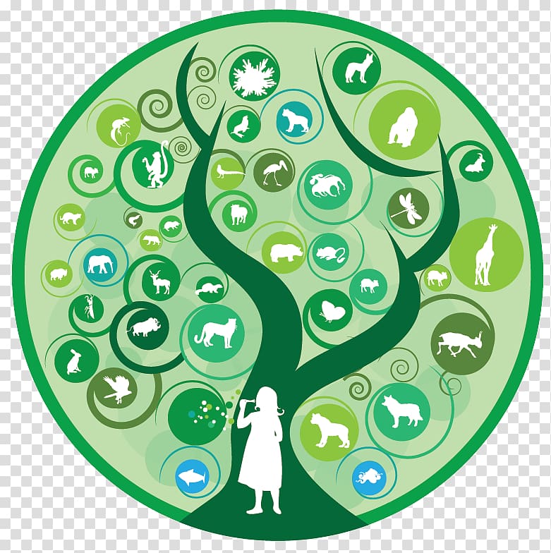 community based conservation in a globalized world clipart