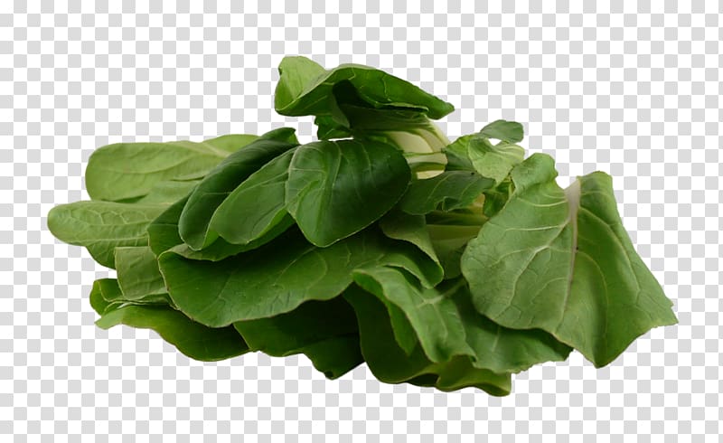 Spinach Vegetarian cuisine Leaf vegetable Chard, bok choy transparent background PNG clipart