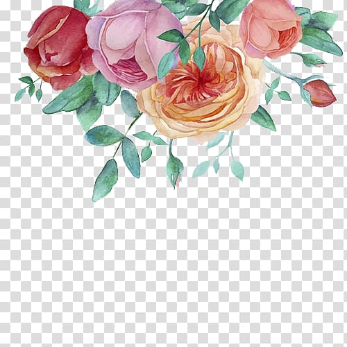 hand-painted watercolor flower decorative frame transparent background PNG clipart