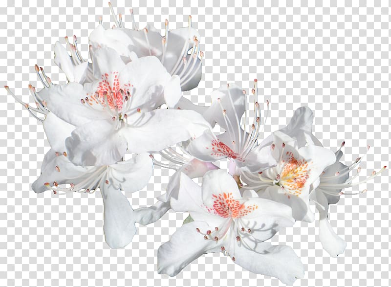Floral design Cut flowers Flower bouquet Flowering plant, chinese wind flowers transparent background PNG clipart