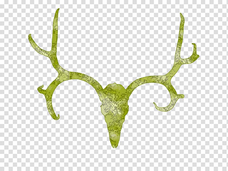 White-tailed deer Antler Skull , Deer Skull transparent background PNG clipart