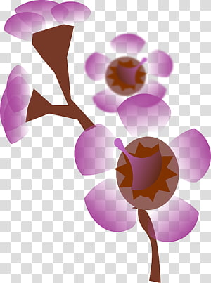 Pink Petal Flower , flower transparent background PNG clipart thumbnail