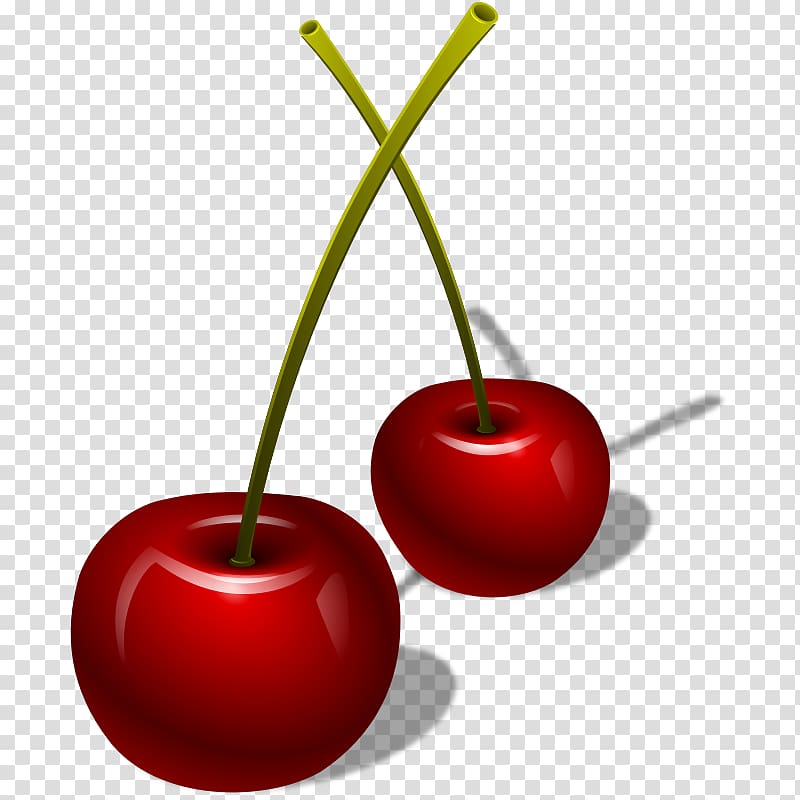 Cherry Cerasus Berry , cherry transparent background PNG clipart