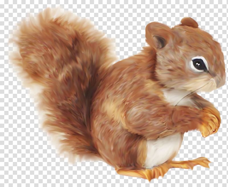 Squirrel Cartoon , balloon color transparent background PNG clipart