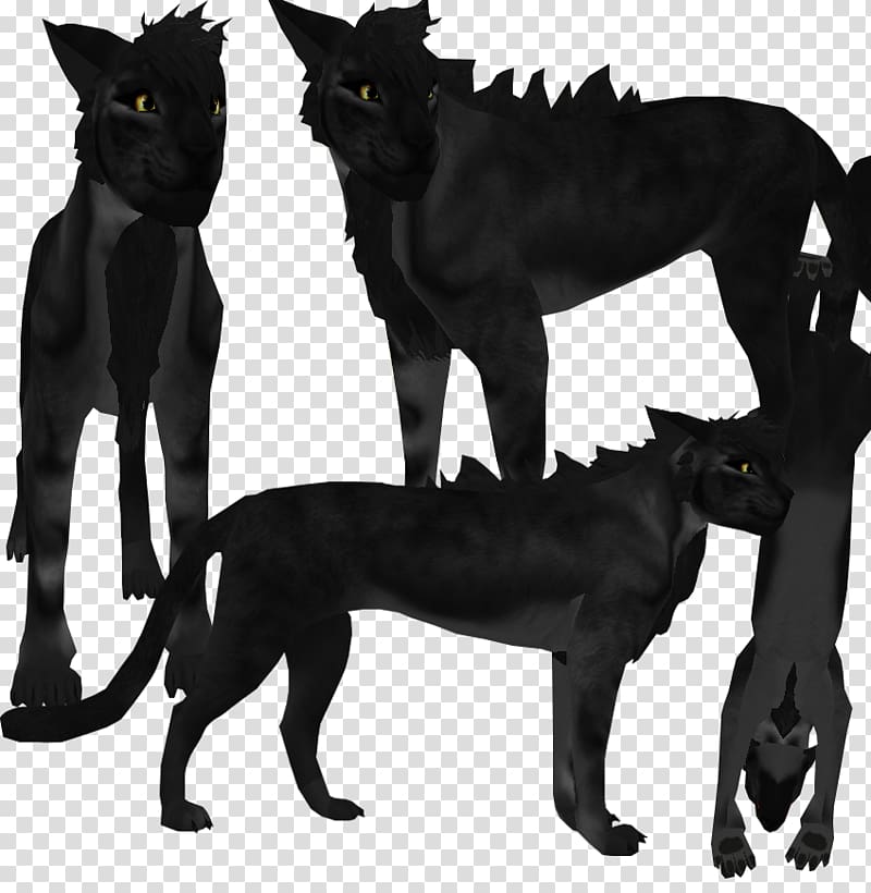 Black cat Feral Panther Rough Collie, Cat transparent background PNG clipart