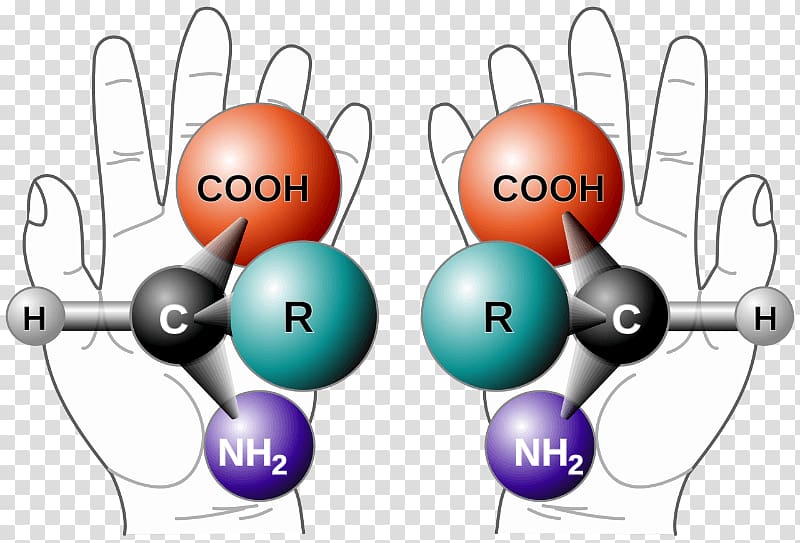 Chirality Stereocenter Mirror Molecule Chemistry, longevity transparent background PNG clipart