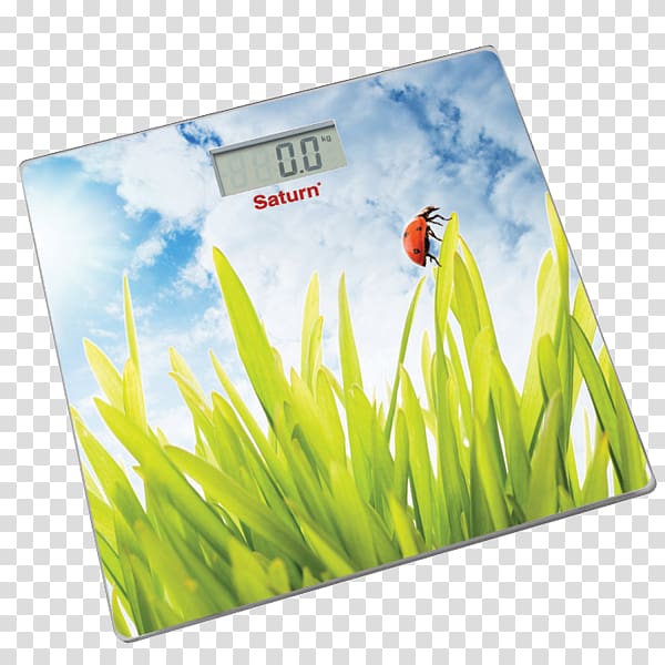 Rozetka Measuring Scales Price Home appliance Saturn, foxglove transparent background PNG clipart