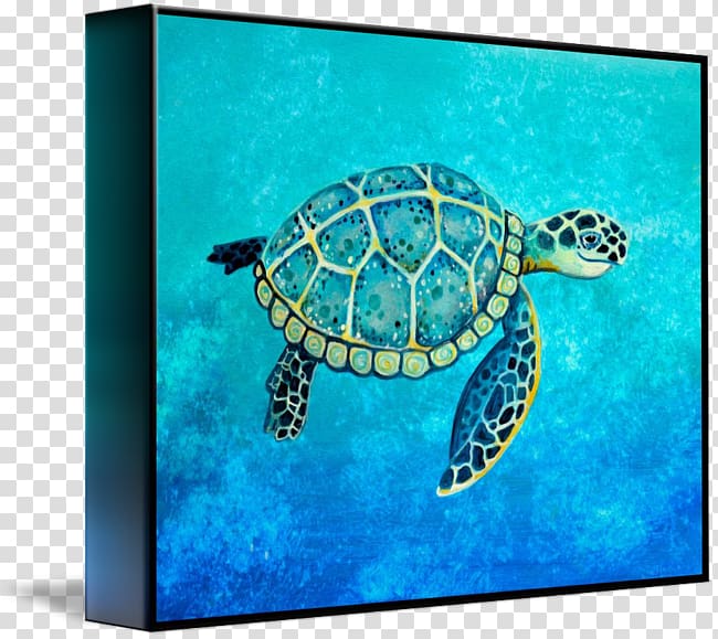 Loggerhead sea turtle Painted turtle Pond turtles, turtle transparent background PNG clipart