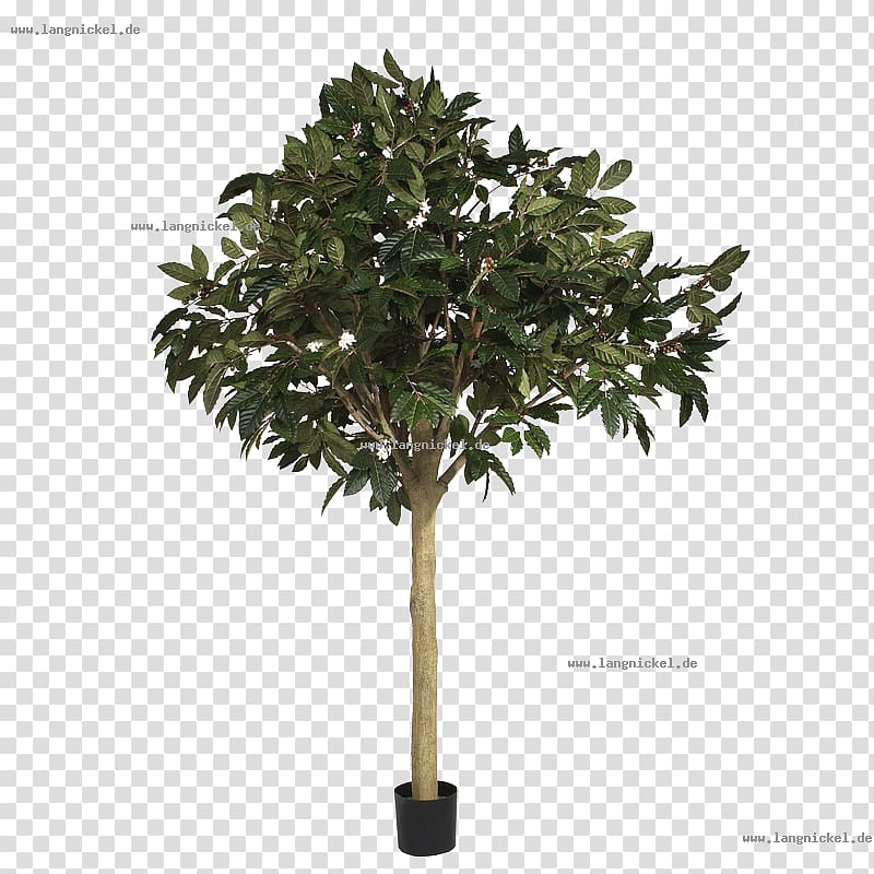 Embryophyta Gum trees Green Artificial flower, tree transparent background PNG clipart