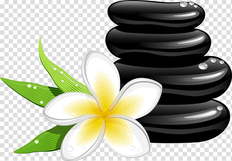 white flower and stone pebble , Spa Cosmetology Massage , frangipani and stones transparent background PNG clipart