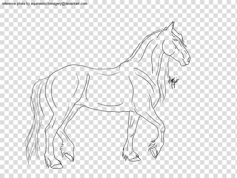 Friesian horse Arabian horse Mustang American Quarter Horse Pony, mustang transparent background PNG clipart