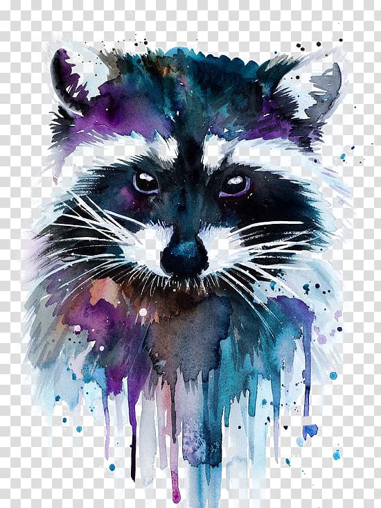 raccoon transparent background PNG clipart