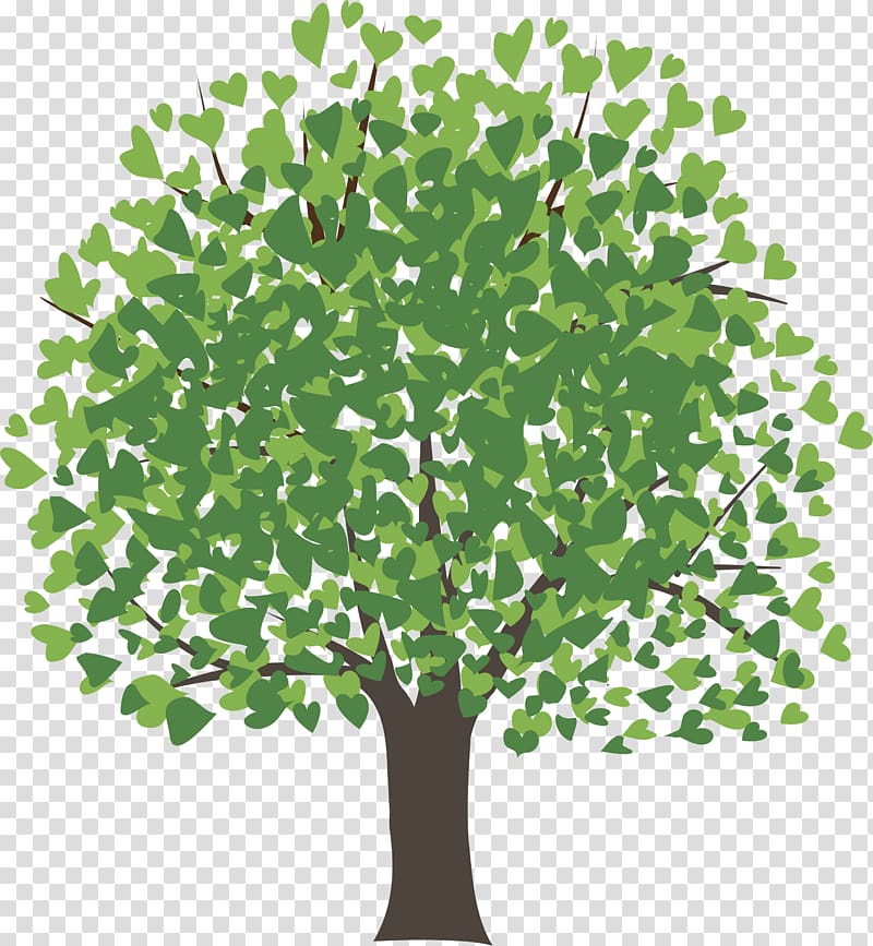 Mangifera indica Tree Mango Drawing , spring tree transparent background PNG clipart
