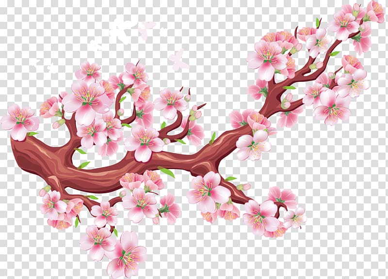 Cherry blossom Bird Tree Wall decal, cherry blossom transparent background PNG clipart
