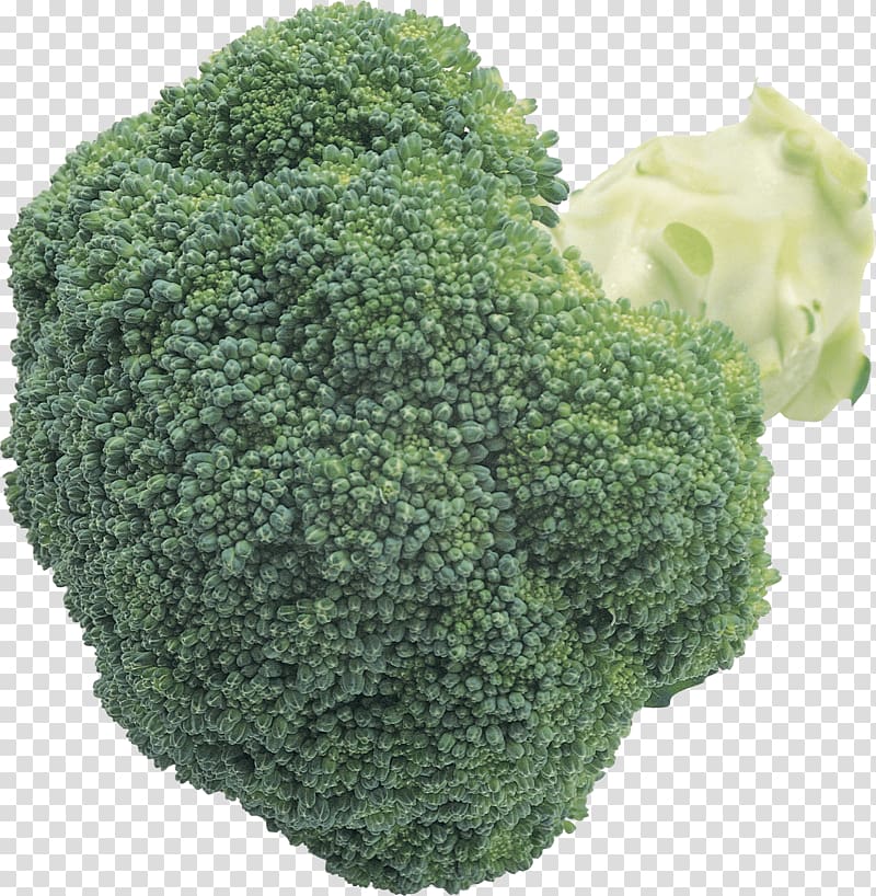 Broccoli Cabbage Cauliflower Brussels sprout, Broccoli transparent background PNG clipart