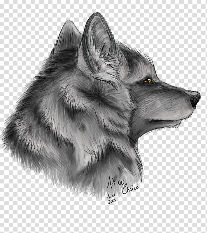 Drawing Pencil Dog Red fox Sketch, pencil transparent background PNG clipart