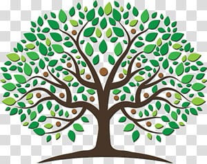 family reunion tree png