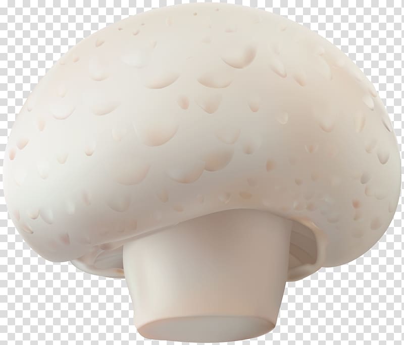 white mushroom art, P.N.03 Common mushroom, Champignon Mushroom transparent background PNG clipart