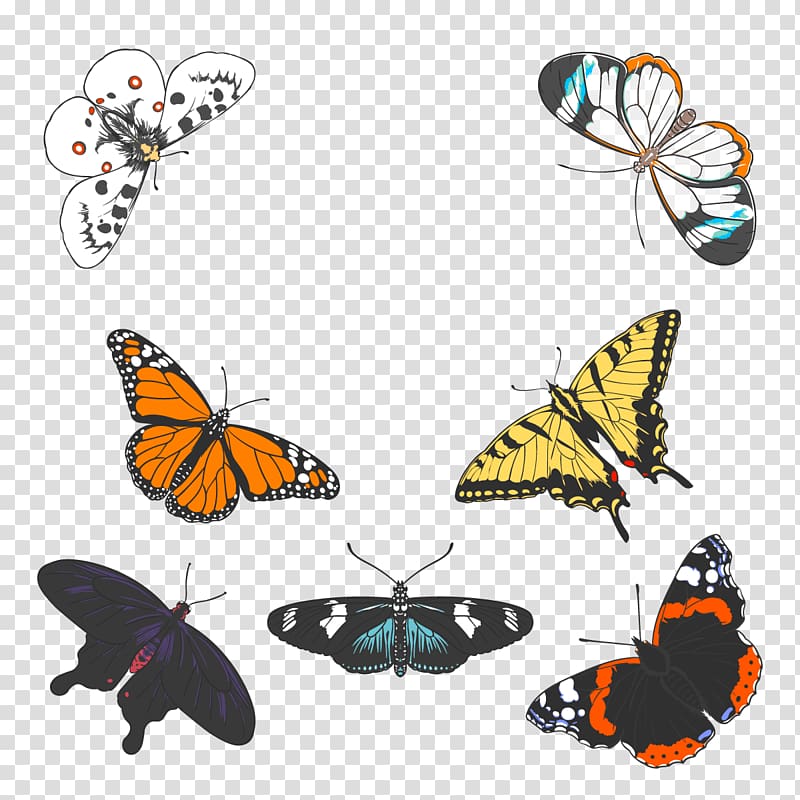 assorted-color butterflies , Monarch butterfly Insect, butterfly transparent background PNG clipart