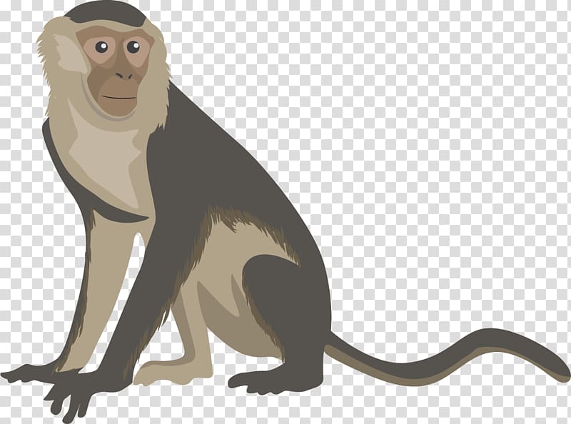 Yellow fever vaccine Infection Symptom, monkey transparent background PNG clipart