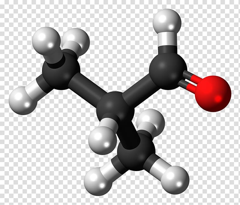Purine Pyrimidine Definition Molecule Nitrogenous base, others transparent background PNG clipart