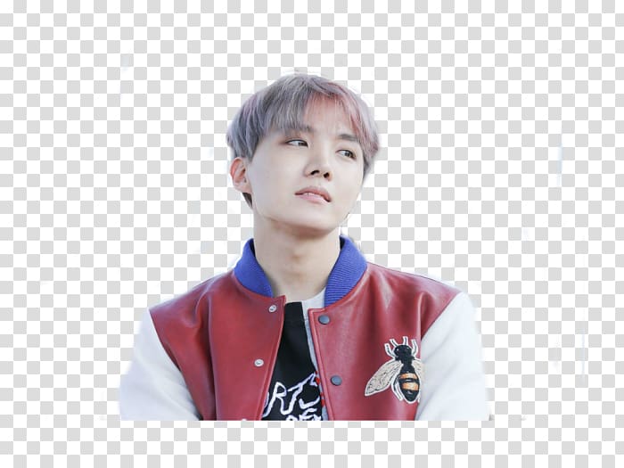 J-Hope 2017 BTS Live Trilogy Episode III: The Wings Tour 2017 BTS Live Trilogy Episode III: The Wings Tour Spring Day, wings transparent background PNG clipart