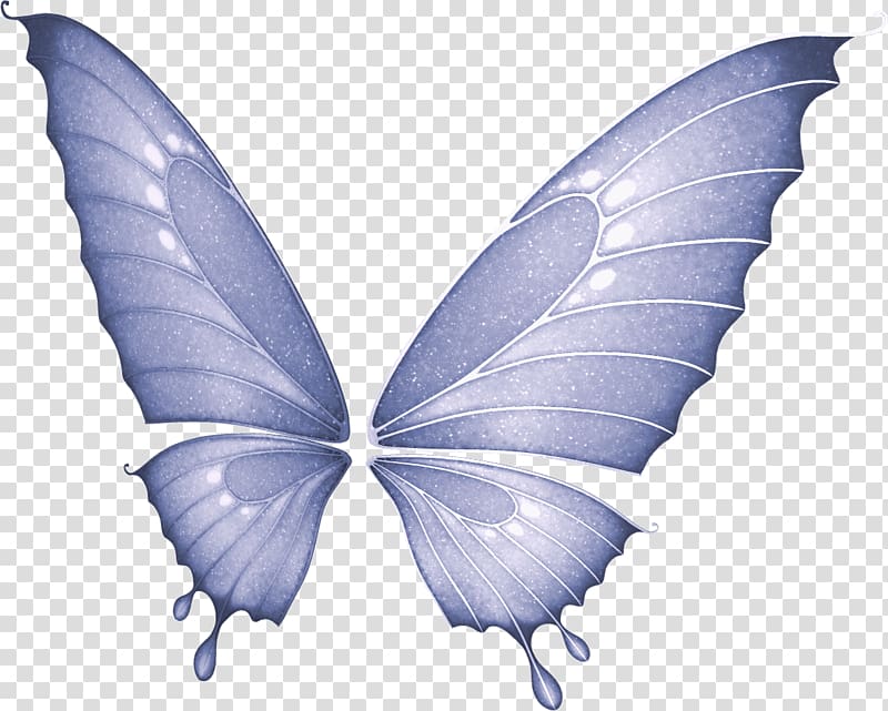 Butterfly Fairy , butterfly transparent background PNG clipart