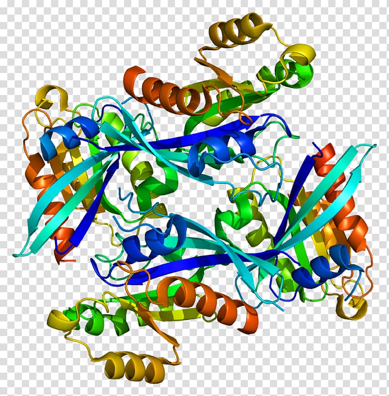 RAB2A Small GTPase Ras subfamily Protein, others transparent background PNG clipart