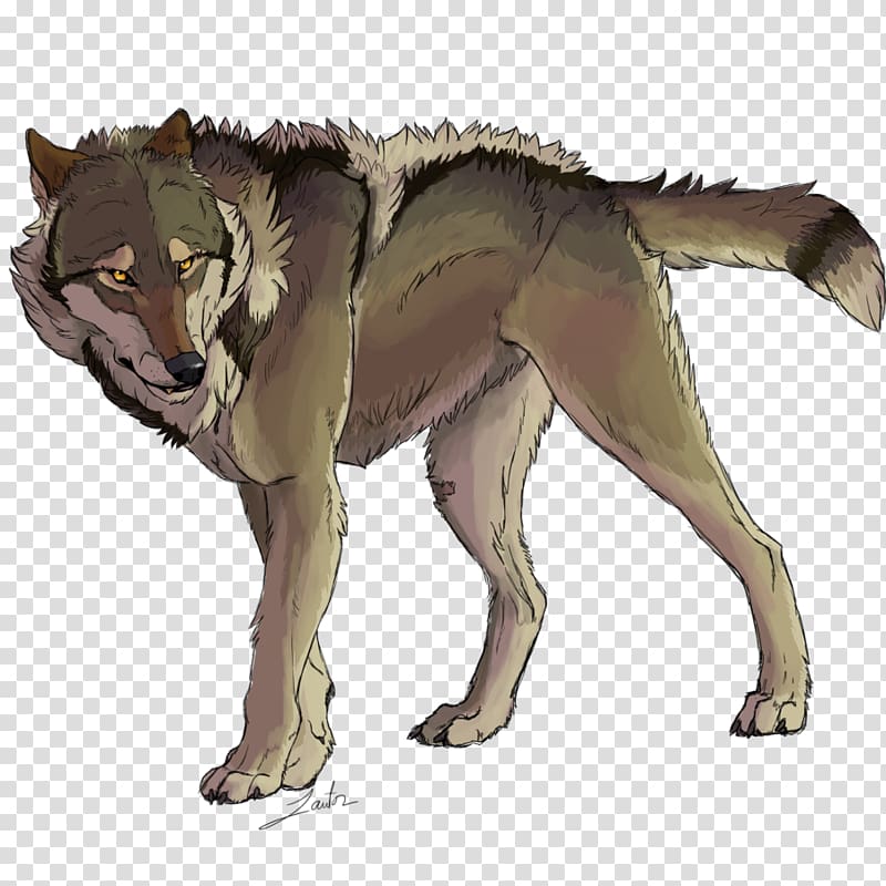 Gray wolf Dog Red wolf Drawing Pack, Dog transparent background PNG clipart